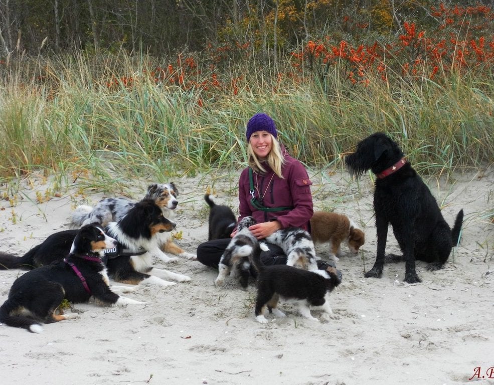 Steffi Groth mit ihren Australian Shepherds am Strand