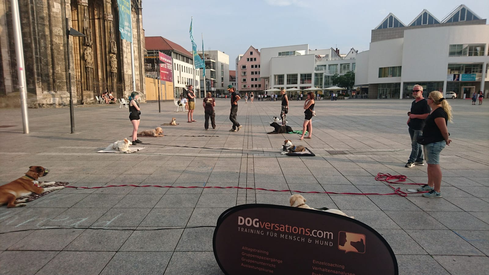 Gruppentraining von Dogversations auf dem Münsterplatz in Ulm