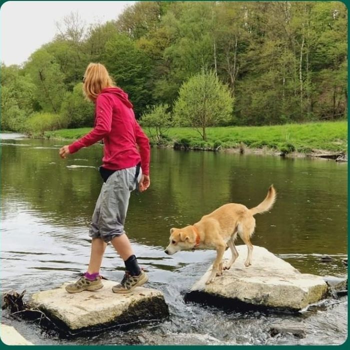 Yvonne Schirmer überquert mit einem Hund einen Fluss auf Trittsteinen