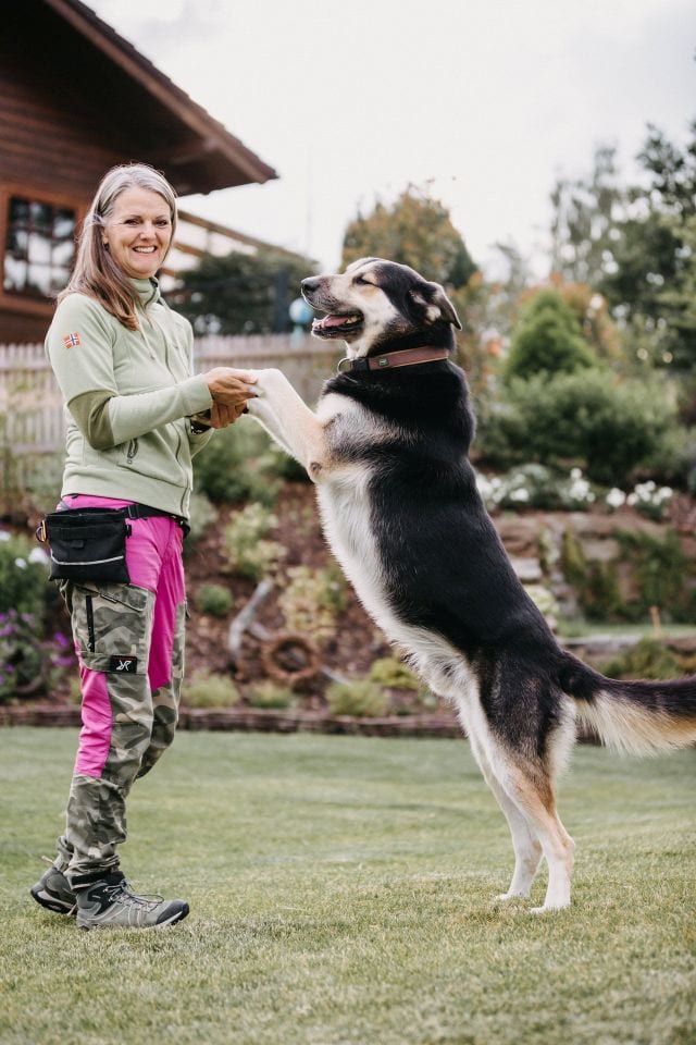 Petra Höfer gibt ihrem Schäferhund-Husky-Mischling Bruno im Garten die Pfote