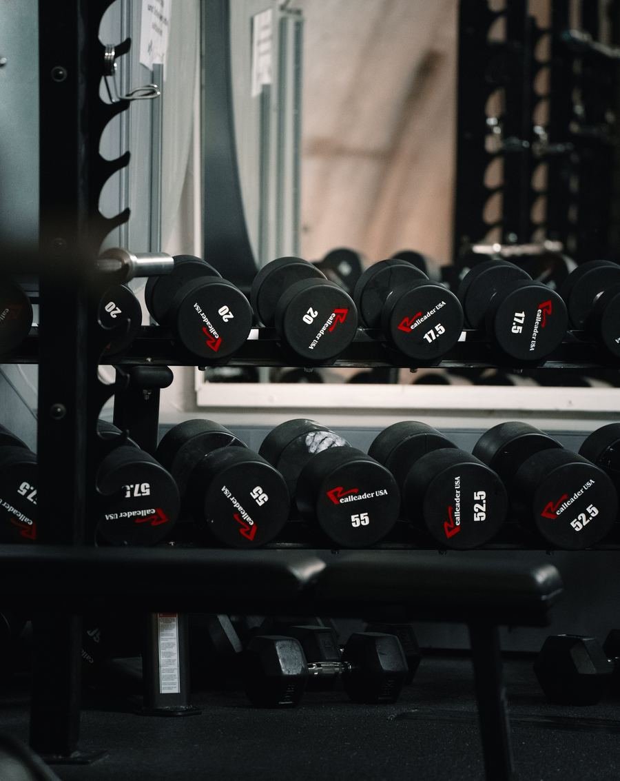 Kurzhanteln im Freihantelbereich der Fitnesslounge Erlangen