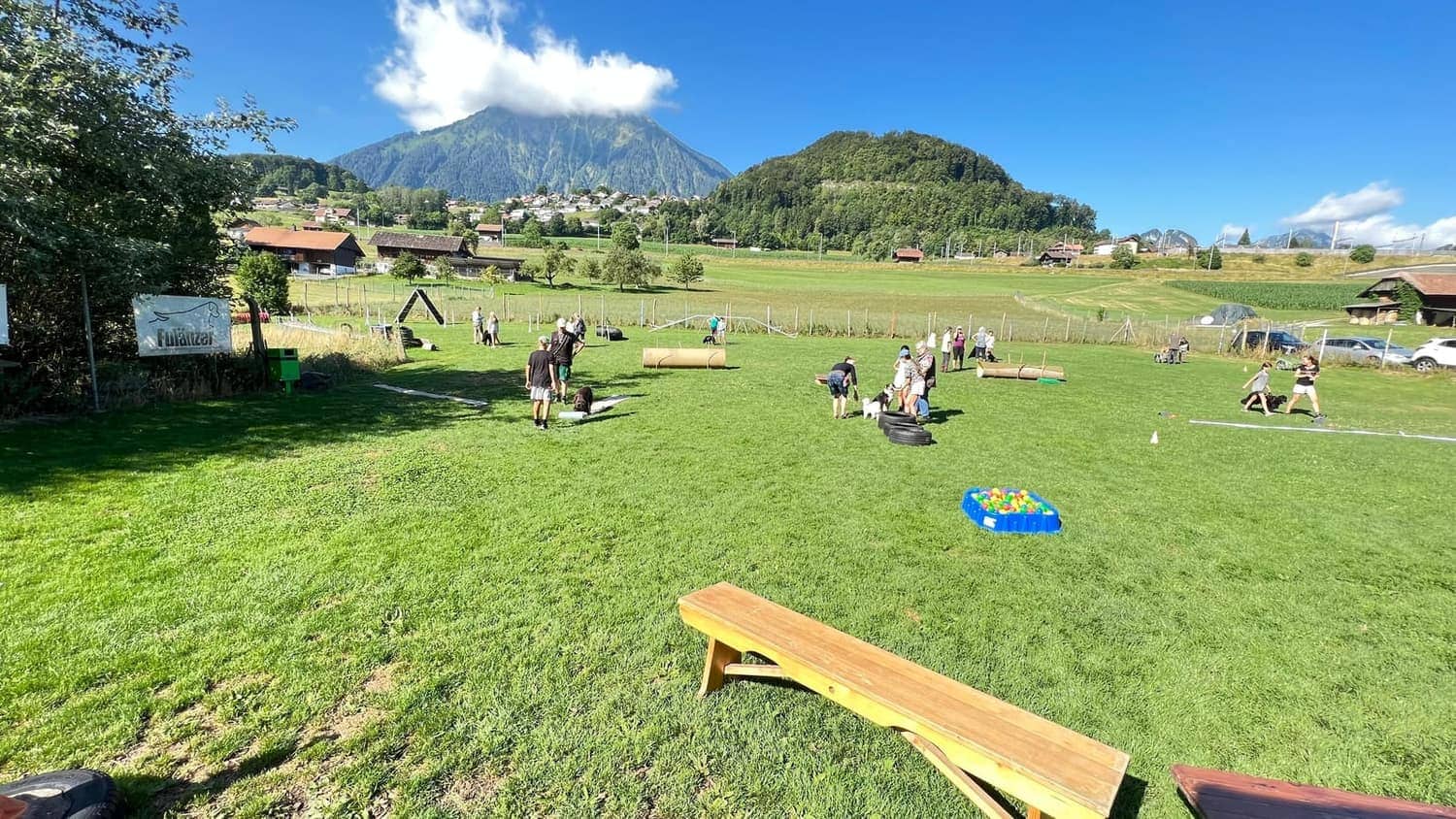 Der Hundeplatz in Faulensee an einem Sommertag, Mensch-Hund-Teams verteilt auf der Wiese, im Hintergrund der Niesen