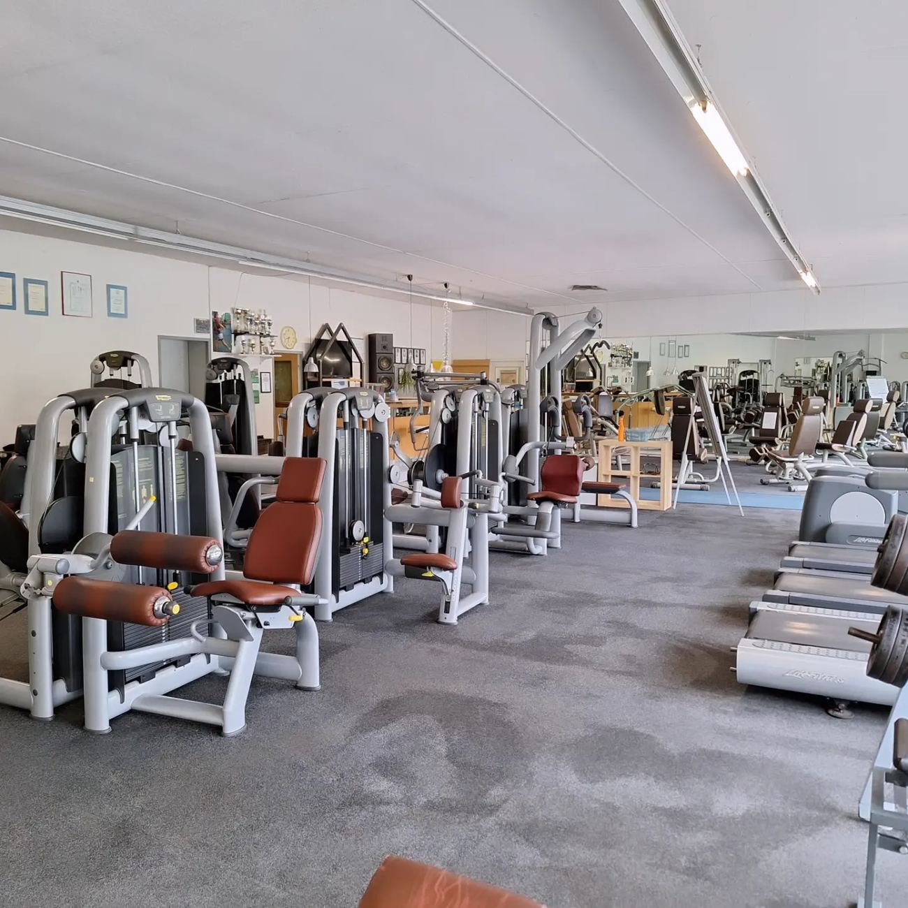 Die Trainingsfläche des Gesundheits- & Fitness Treff mit Technogym-Geräten, Spiegelwand und Pokalen im Regal