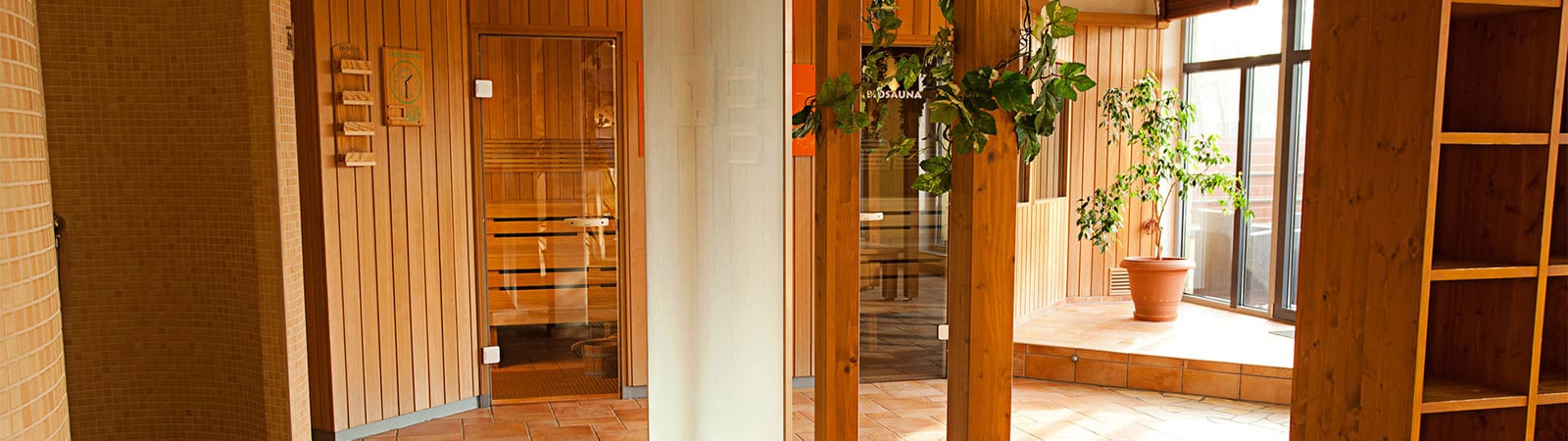 Sauna im Gesundheitszentrum Dresden-Bühlau: Holz-Innenraum mit Pflanzen, Bio-Sauna und Schwimmbad-Atmosphäre