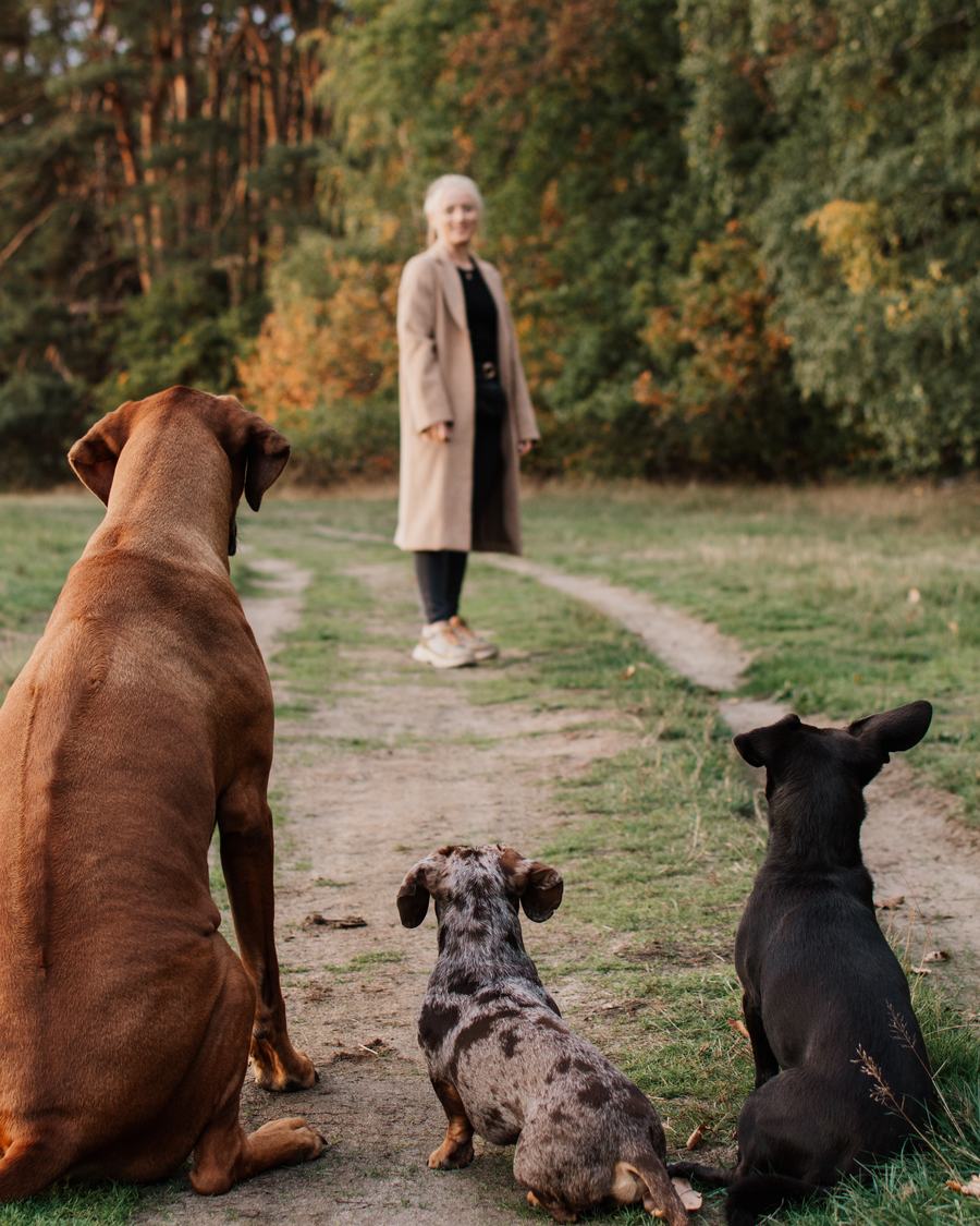 Vanessa Tardivello steht auf einem Waldweg, ihre drei Hunde sitzen davor und schauen sie an