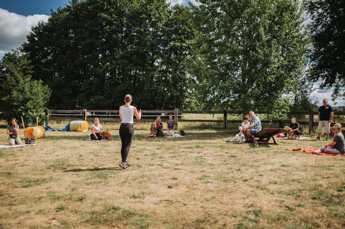 Gruppentraining auf der Wiese in Schmachtenhagen