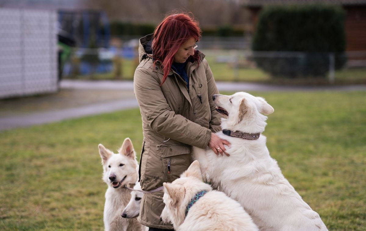 Rebecca Voll auf dem Hundeplatz, umringt von ihren weißen Schäferhunden