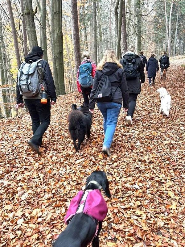Good Morning Walk