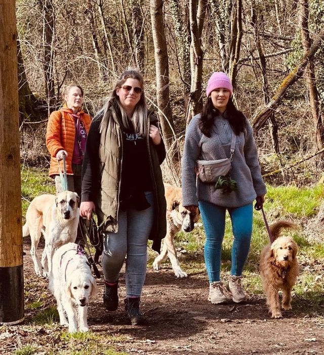 Gruppe mit Hunden bei einer Wanderung von hundumglücklich Maintal
