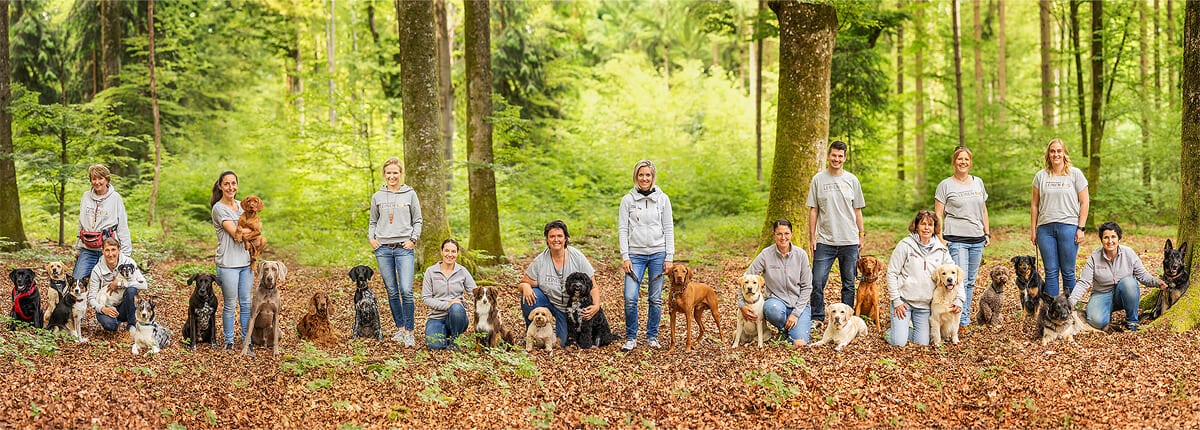 Das Trainerteam der Hundeschule Leinen Los mit seinen Hunden im Wald