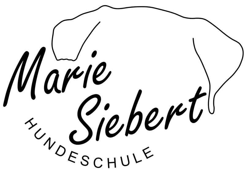 Logo der Hundeschule Marie Siebert: gezeichneter Hundekopf über dem Schriftzug