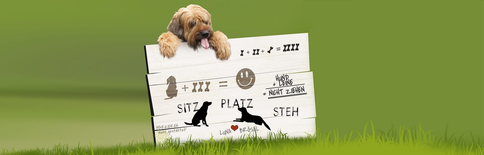 Hundeschule slydogs — Banner mit Welpe und Tafel: Sitz, Platz, Steh