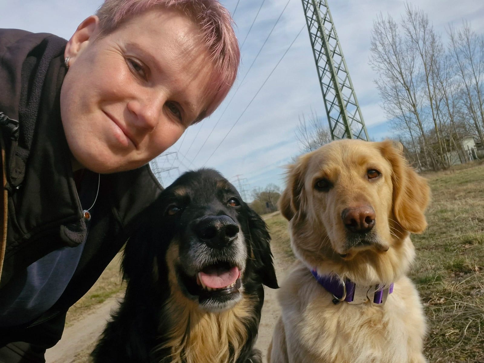 Hundeschule Starkes Team — Training in Perleberg / Prignitz