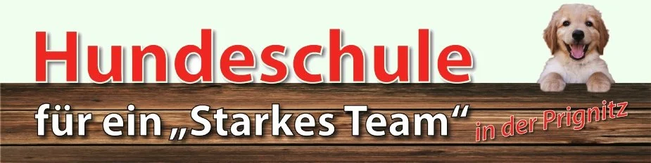 Hundeschule Starkes Team