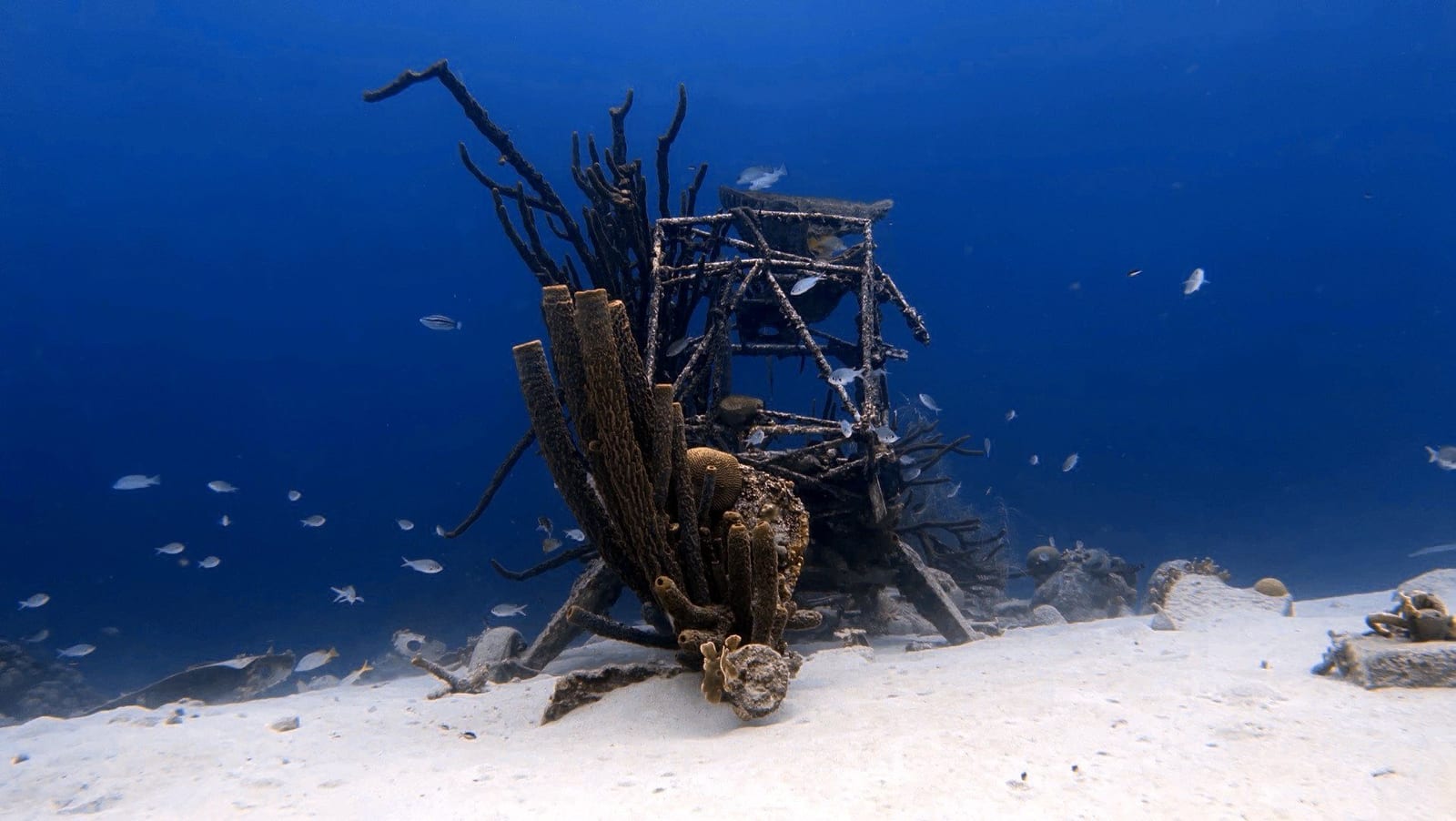 Unterwasser-Wrack mit Fischen im klaren blauen Wasser