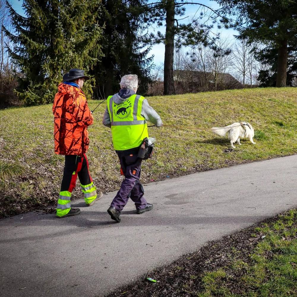 Mantrailing-Team mit Warnwesten und Suchhund auf einer Spur
