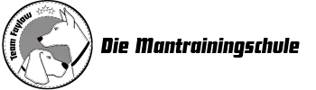 Team Faylow Logo